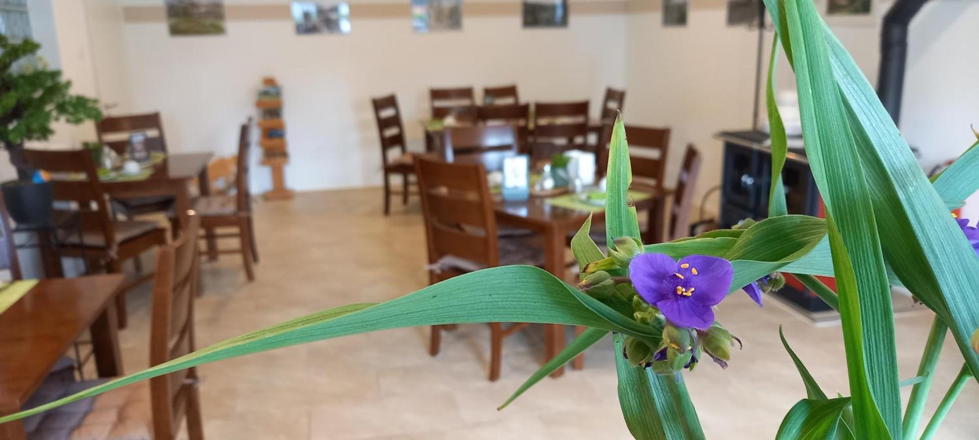 Gaestehaus Wohngut 艾森纳赫 外观 照片